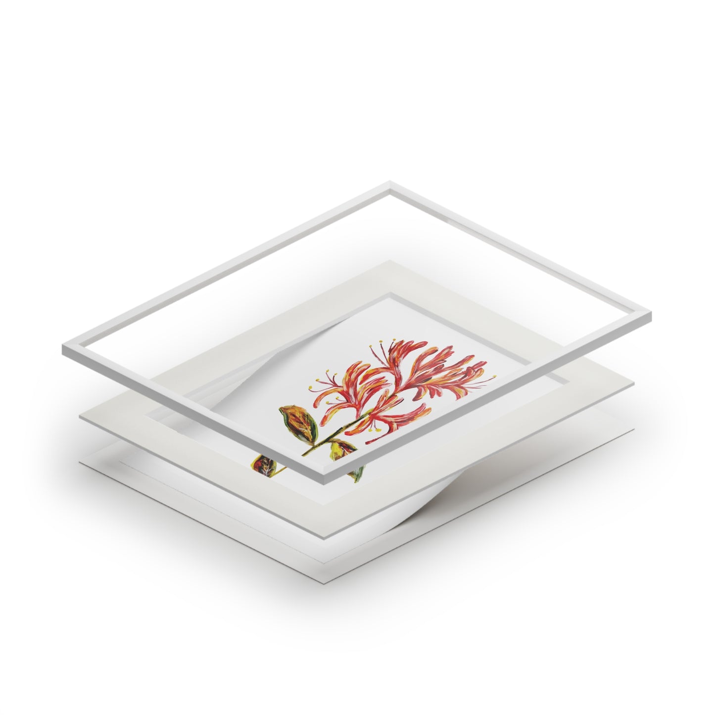 Honeysuckle Botanical Fine Art Print with Passepartout Frame